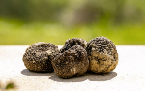 Tartufo Nero Estivo