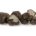 Tartufo Nero Estivo