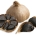 Aglio Nero