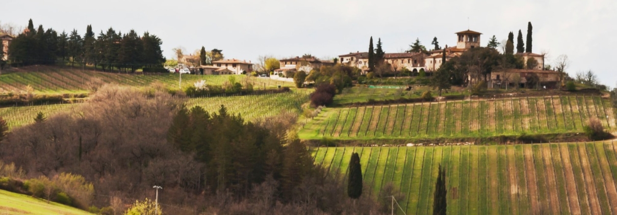 Strade Vino e Olio