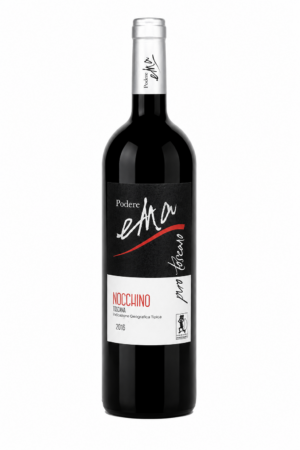 Nocchino